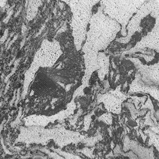 Palimanan Stripes