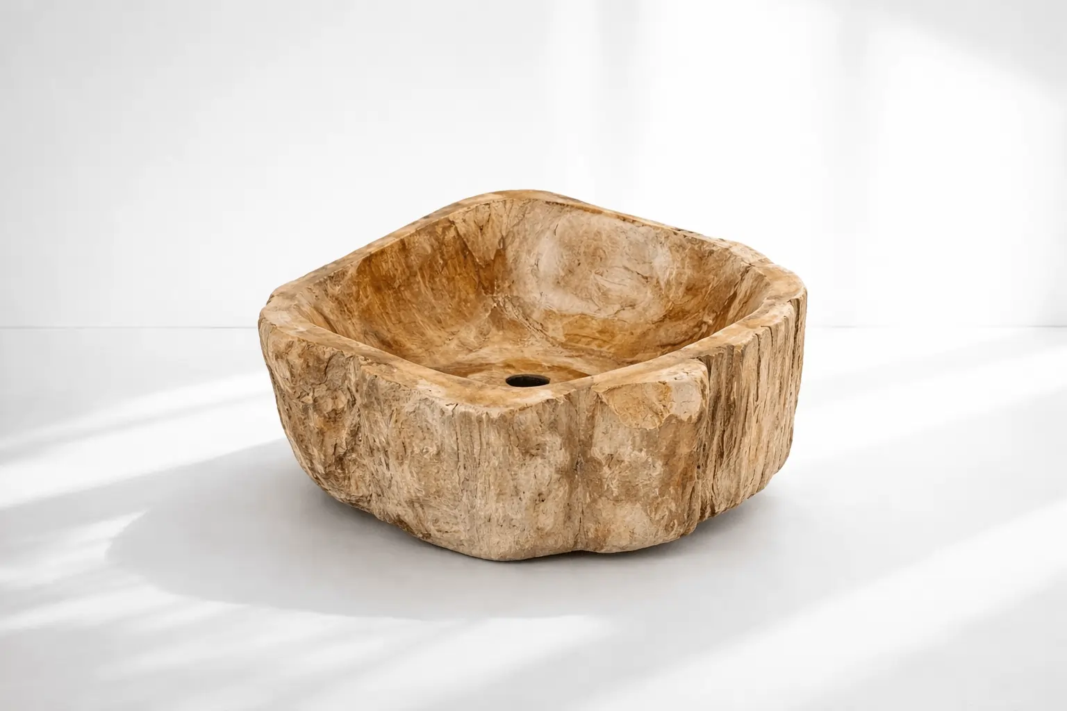 petrified-wood-basin